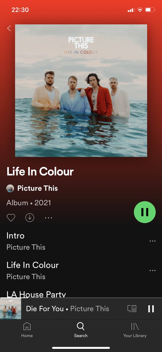 Giving me all the feels 🥺🥺

@picturethis #lifeincolour