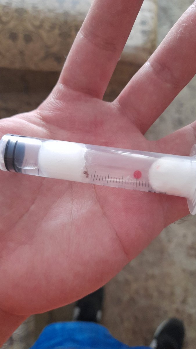 Aguirre_Erik's tweet image. I know there is a little water, but hey, its my first catch! @AntsCanada #pheidole