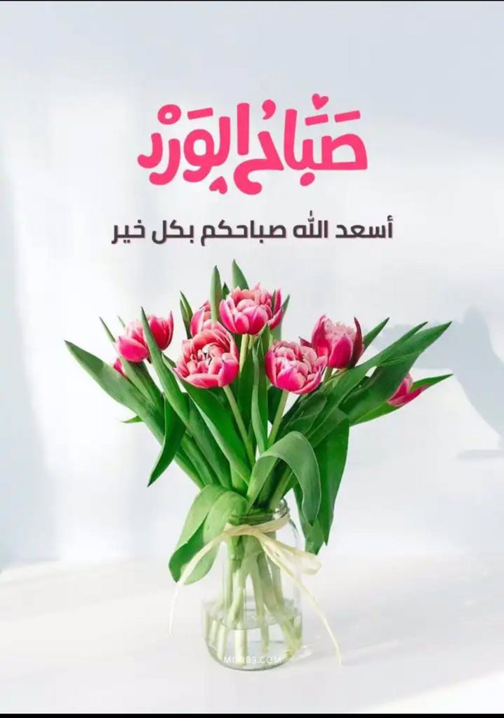كبير + 56 سنة tweet media