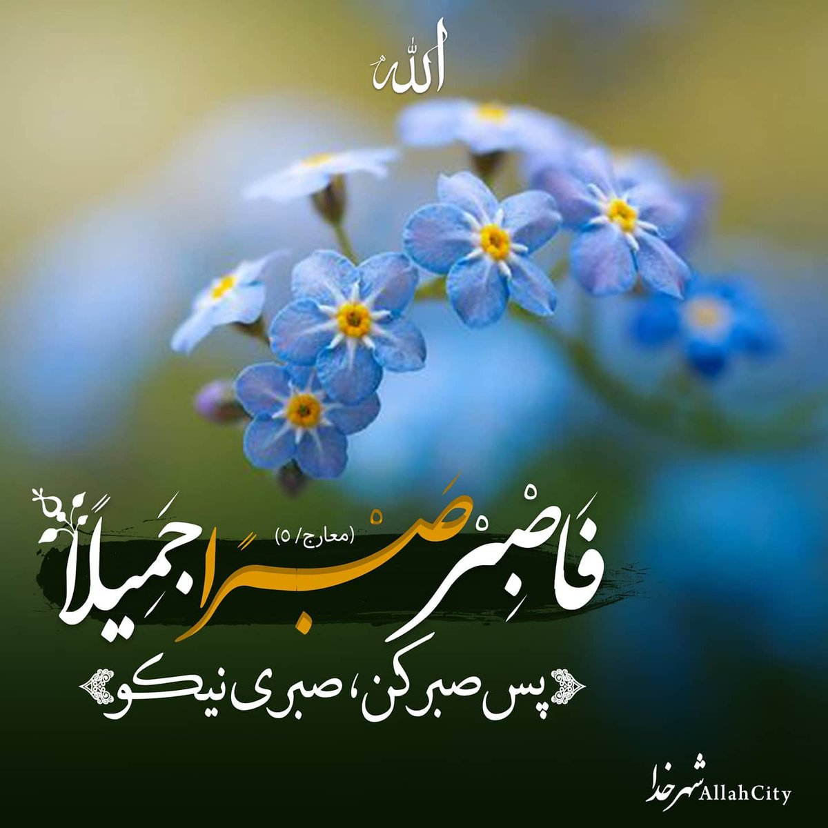parsinikan's tweet photo. @Khamenei_fa
@ebkhodaei    
@A_raefipur    
@hasan_abbasi    
@saeednamaki    
@DrSaeedJalili    
@rahmanifazli     
@dr_moghtadaiee    
@mb_ghalibaf   
@arzakani4    
@Dr_SaeMoh   
@hajimirzaee    
@ir_rezaee    
@raisi_com
#تعویق_کنکور_سراسری
#ستاد_ملی_کرونا_تعویق_کنکور_سراسری https://t.co/aY3ms3IAn9