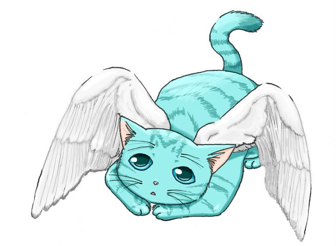 翼猫のtwitterイラスト検索結果