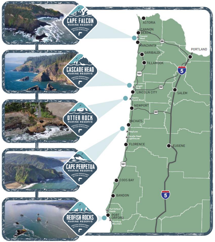 CascadeHead's tweet photo. Oregon Marine Reserves Bio-Blitz  - Hybrid Version - https://t.co/2Jj6pUVP1J https://t.co/hh8J5z0AmW