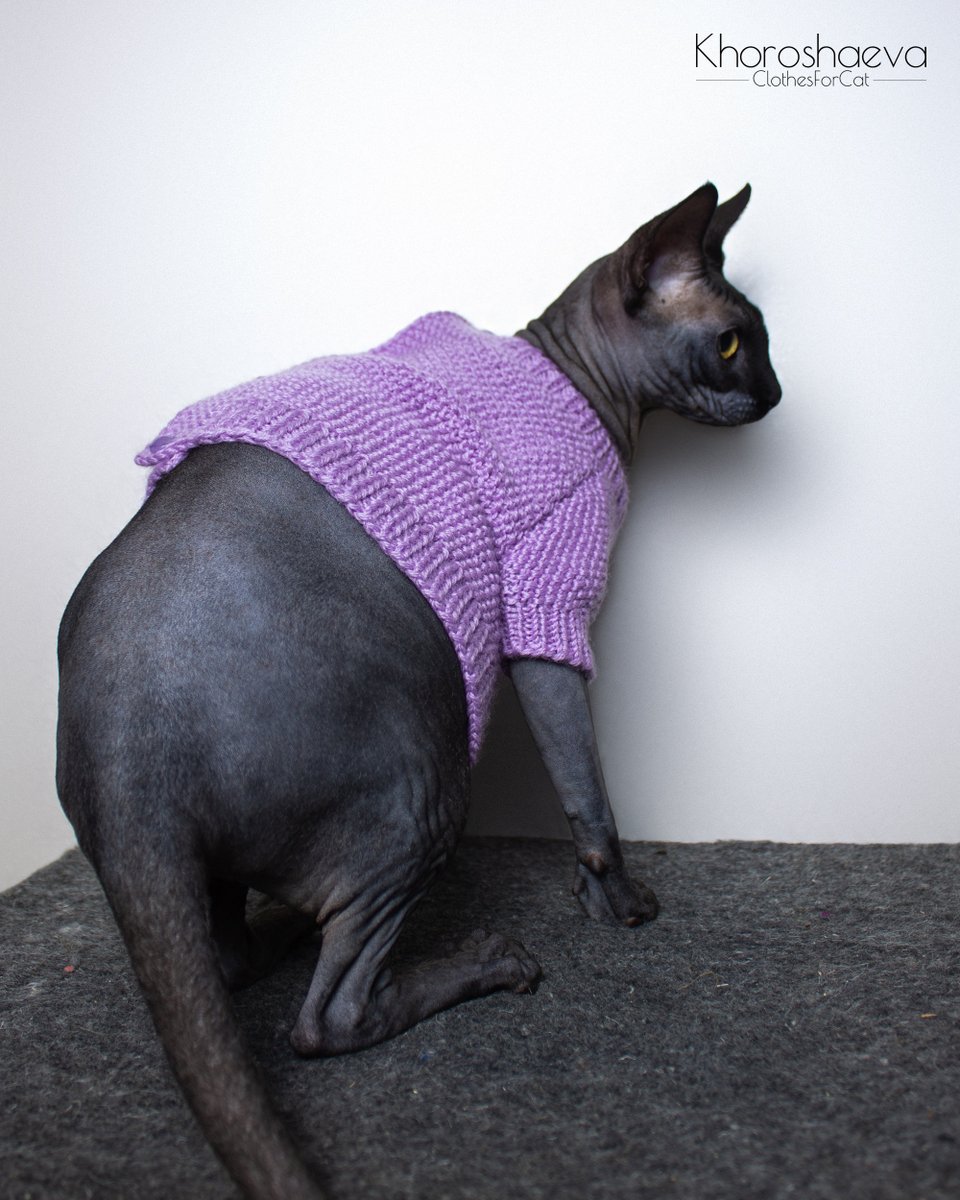 ClothesForCat's tweet photo. Excited to share the latest addition to my #etsy shop: Cat Sweater With Buttons Size M Knitting Pattern PDF + The pattern supplement, Knit On Straight Knitting Needles https://t.co/2POFqOBnwh #knitting #birthday #halloween #catsweaterpattern #pdfcatsweater #knitcatswea https://t.co/d9iKT0yDFM