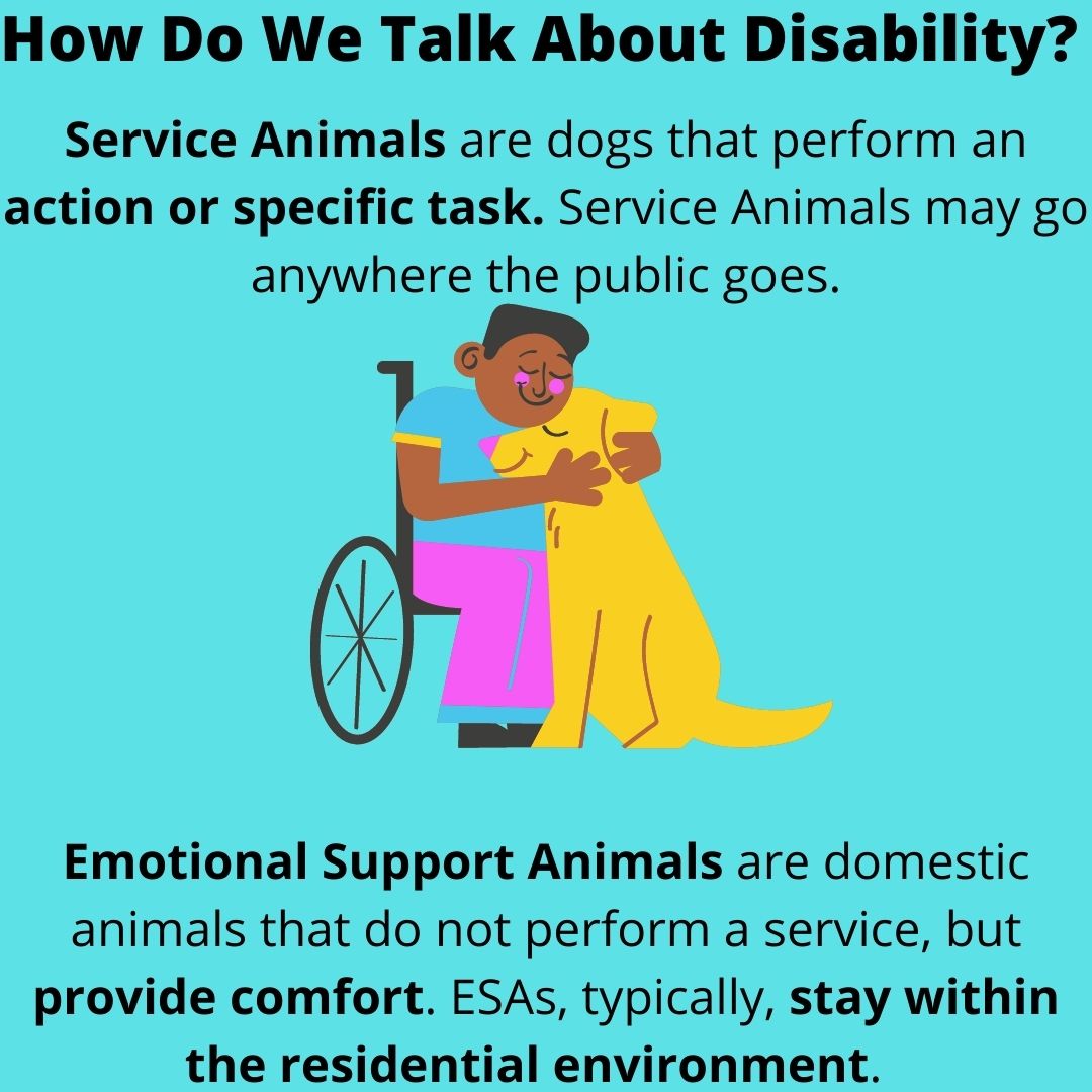 UNCA Office of Academic Accessibility tweet media