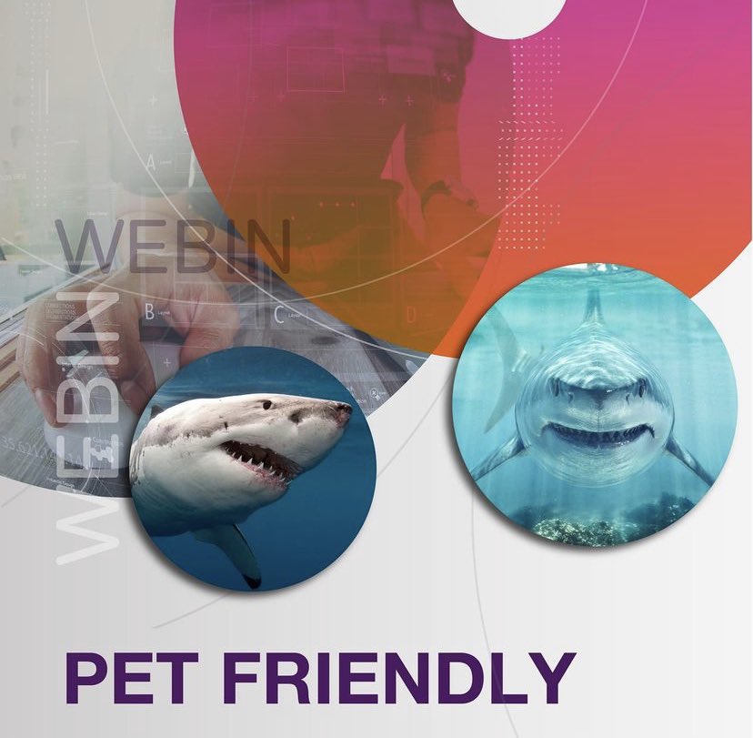 WebinThe's tweet image. 