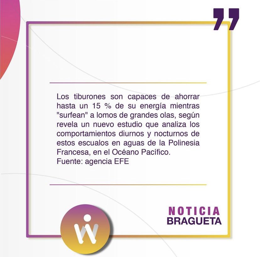 WebinThe's tweet image. 