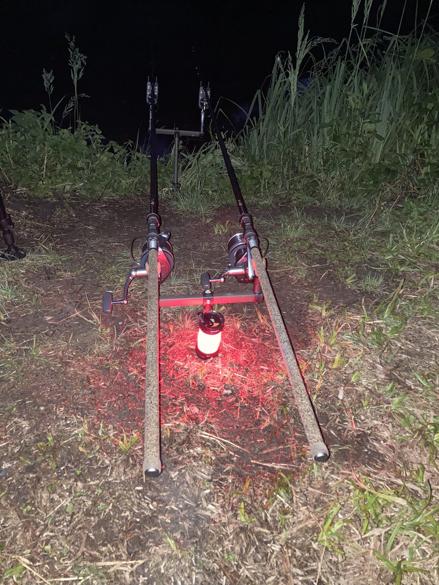 Vader1906's tweet photo. Weekend na starorzeczu… oby coś pojechało. #nokill #karp #carp #cyprinus #wisła #karpiemojapasja https://t.co/19xy4K3dEK