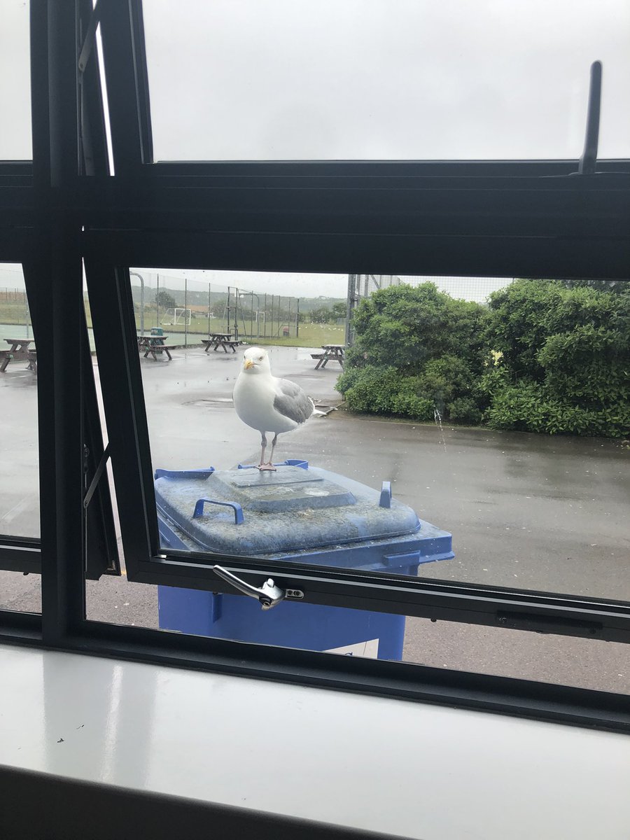 Vikki Powell tweet media