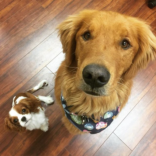 Grandma Lucy's tweet media