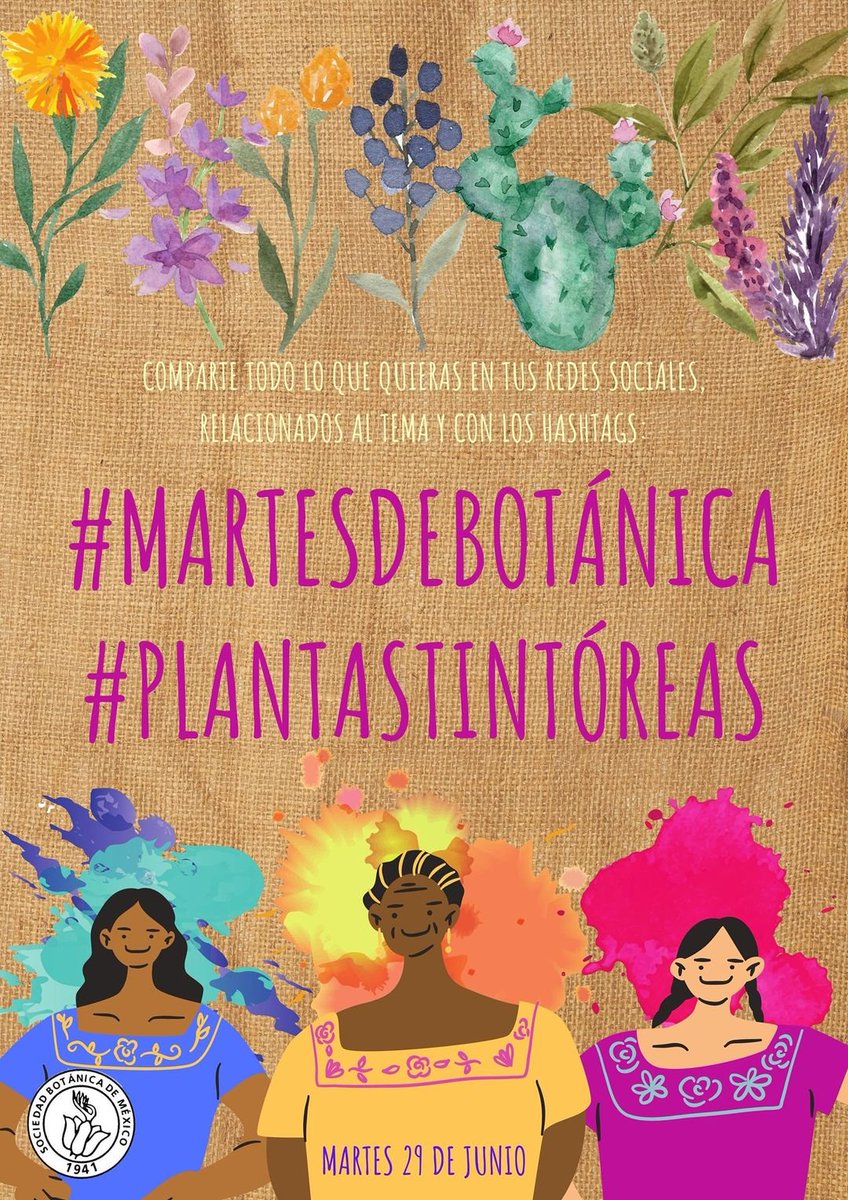 SocBotMex's tweet photo. Saquen sus textiles teñidos con plantas para nuestro siguiente #MartesDeBotanica con el tema #PlantasTintoreas. No oliven utilizar estos los # y arrobarnos #SocBotMex https://t.co/zQ6Q0bqw08