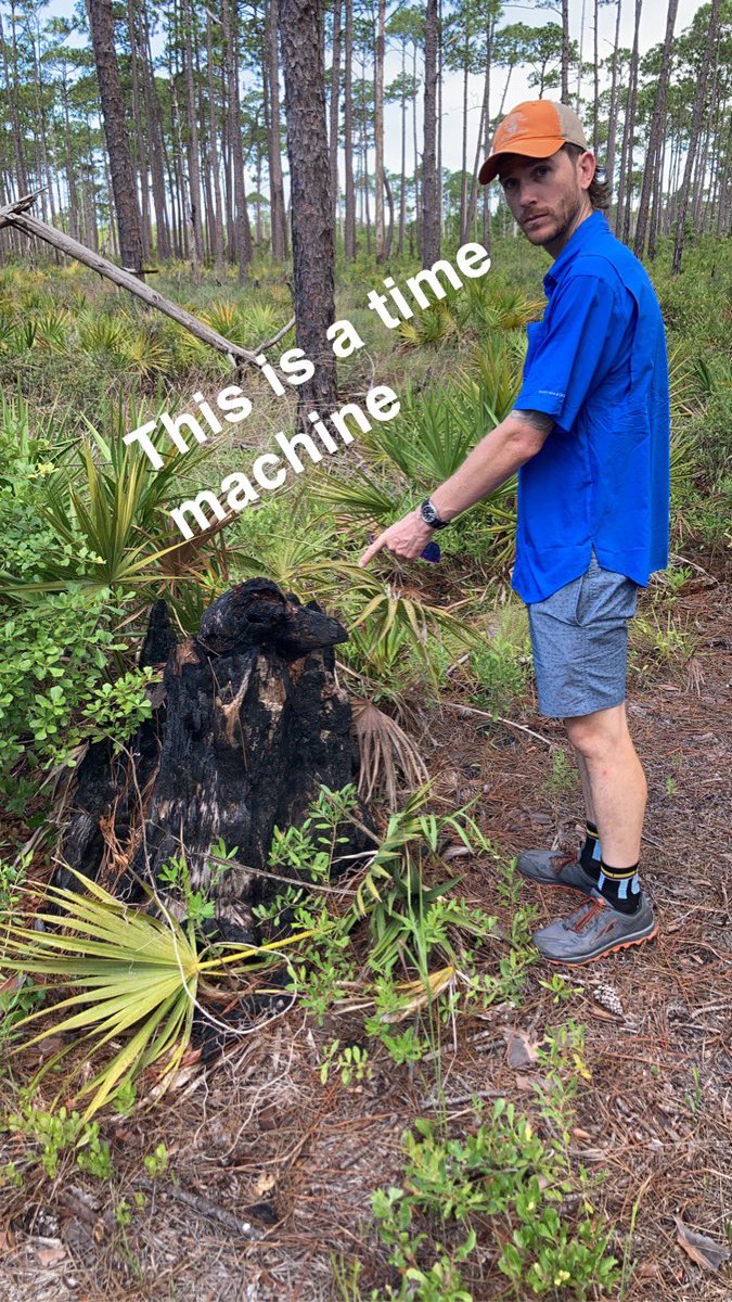 Clay Tucker tweet media