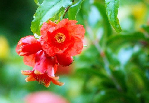 Conco Brigittekira Twitter