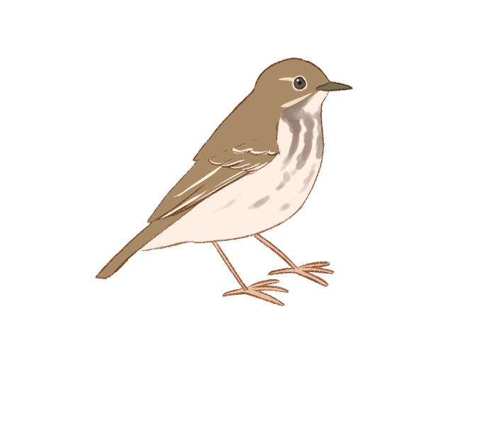 ビンズイのtwitterイラスト検索結果 ビンズイのtwitterイラスト検索結果