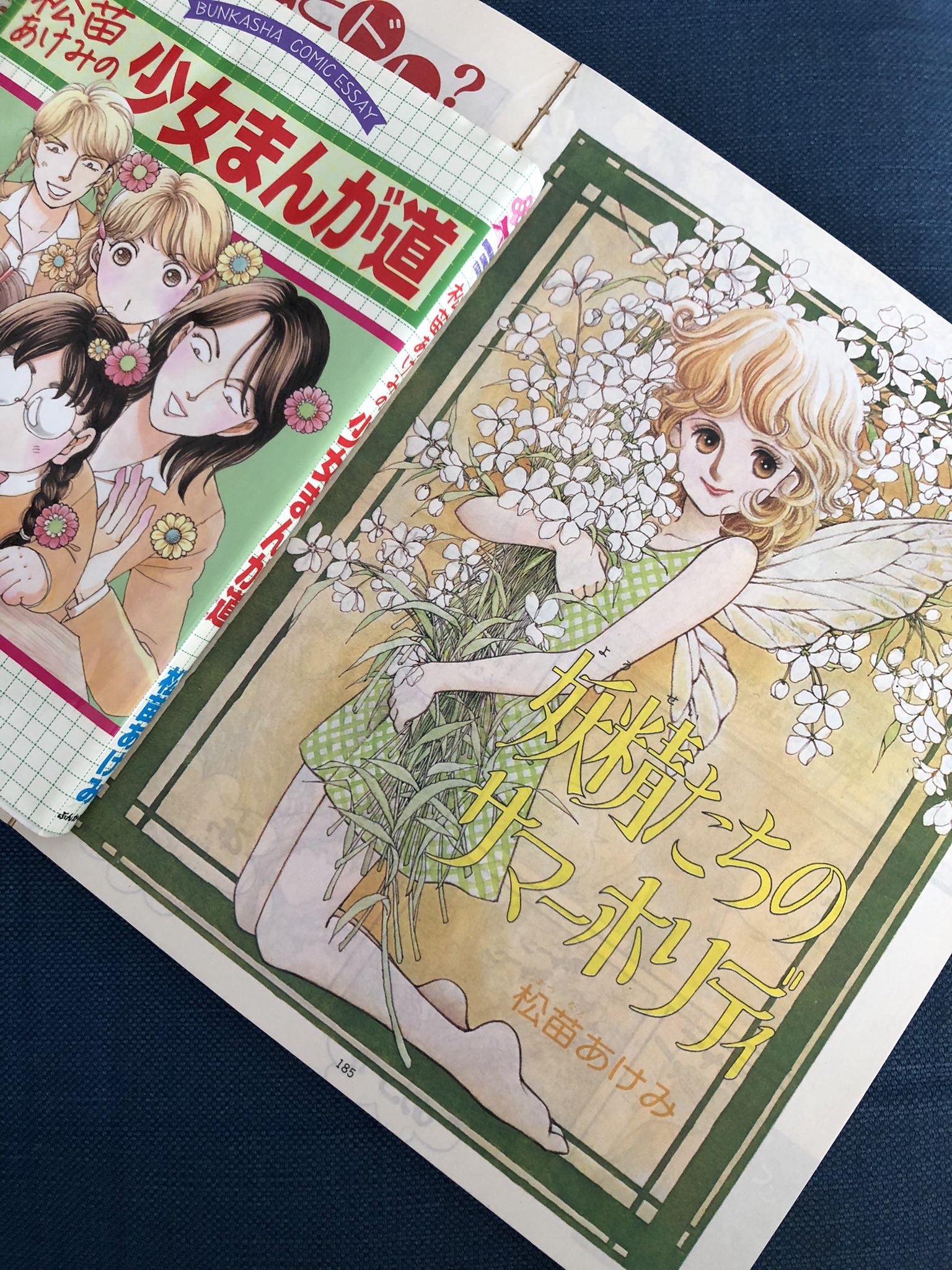 松苗あけみ ぬり絵 漫画家30周年記念 Amazon.co.jp: 松苗あけみぬり絵 : 松苗 あけみ: 本
