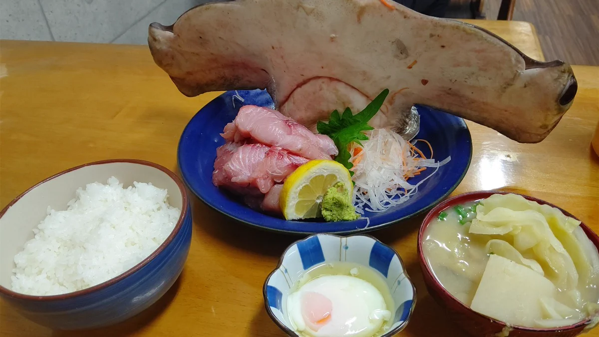 思ったよりもワイルド？シュモクザメの刺身定食www