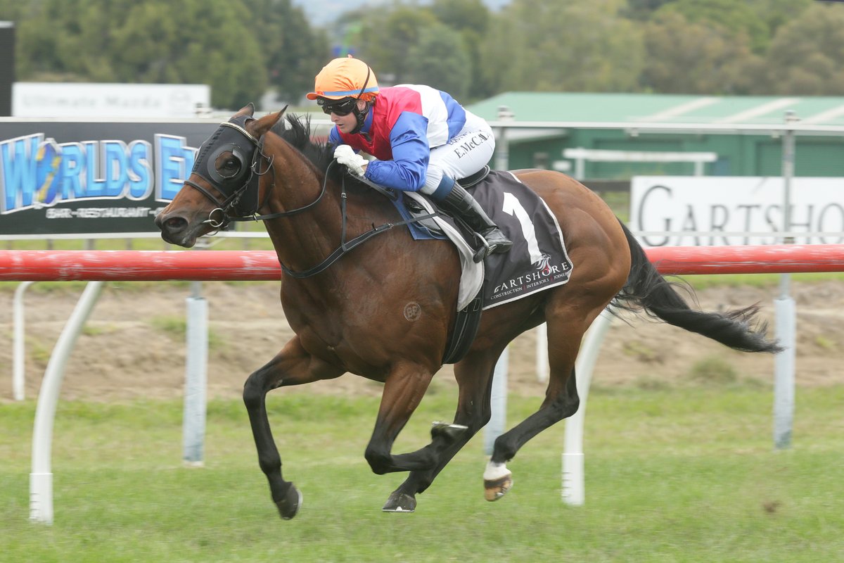 KarakaChat's tweet photo. Classy mare #PopStarPrincess (NZ) (Makfi) scored another stakes success when winning the Listed Tauranga Classic today. She was sold as a weanling at #Karaka in 2015 for just $4,000 🏆

#WhereWinningBegins https://t.co/zMeGZHY2P4