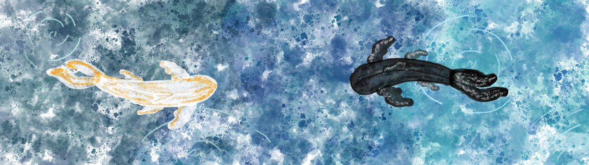 LockerDavys's tweet photo. So proud 😭😭😭
#art #artistsontwitter #digitalart https://t.co/QF5jqW7bXa
