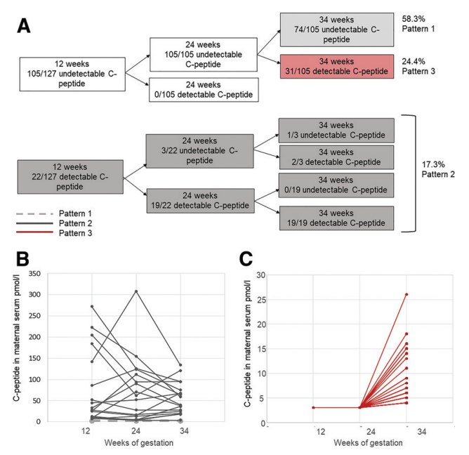 ADA_Pubs's tweet photo. Reappearance of C-Peptide During the Third Trimester of Pregnancy in Type 1 Diabetes: Pancreatic Regeneration or Fetal Hyperinsulinism?

📌 Read now, online ahead of print:
https://t.co/jpPxK6kNlW

📃 This study was presented at ADA's 81st Scientific Sessions. #ADA2021 https://t.co/fnTGxhcWIm