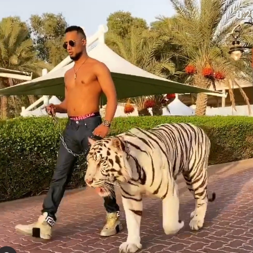 برفقة «لايجر» وعلى أنغام «نمبر1».. محمد رمضان يتجول في الإمارات