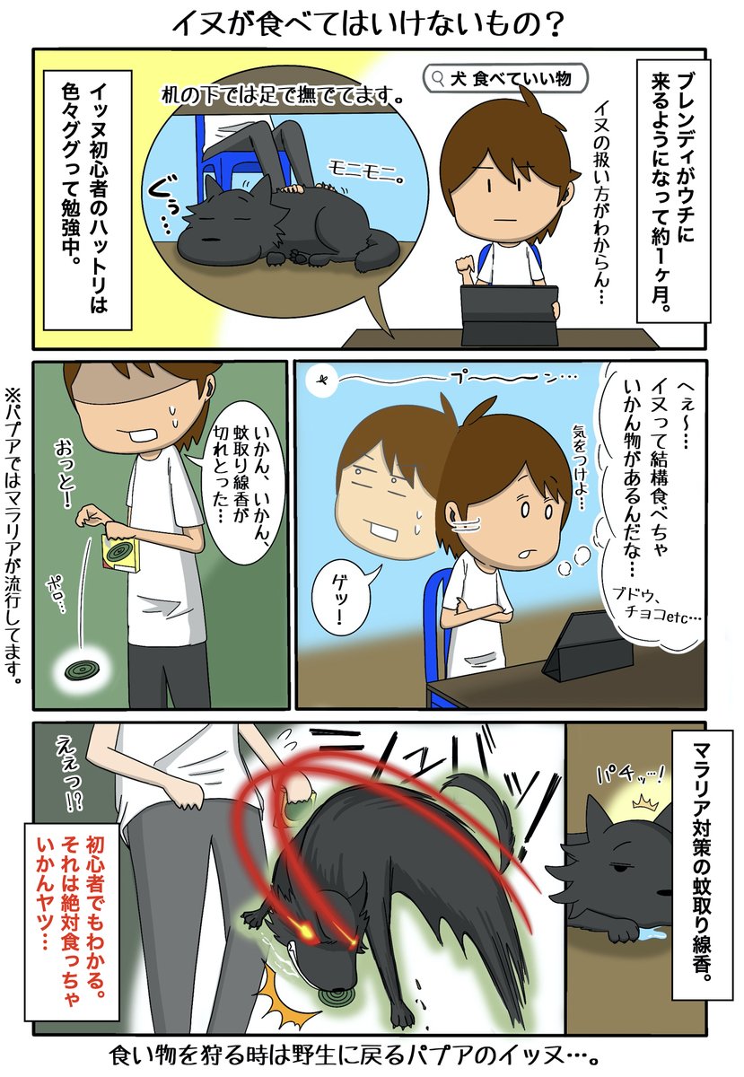 青年海外協力隊 のイラスト マンガ作品 Twoucan 青年海外協力隊 のイラスト マンガ作品 Twoucan