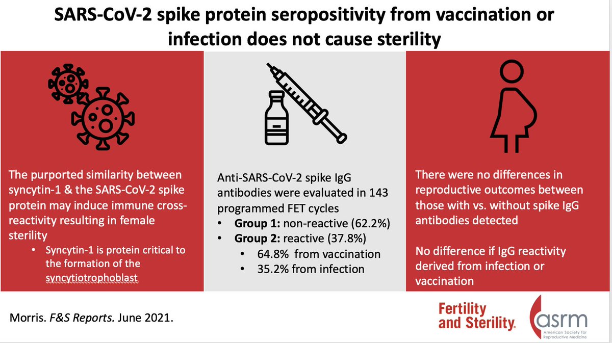 Fertility Sterility (@fertstert) on Twitter photo 🚨 Visual Abstract Alert 🚨
SARS-CoV-2 spike protein seropositivity from vaccination or infection does not cause sterility by <a href="/IVF_1/">IVF1-Randy Morris MD</a> via <a href="/FertStert/">Fertility Sterility</a>
👇Read More Here:
fertstertreports.org/article/S2666-… 🚨 Visual Abstract Alert 🚨
SARS-CoV-2 spike protein seropositivity from vaccination or infection does not cause sterility by <a href="/IVF_1/">IVF1-Randy Morris MD</a> via <a href="/FertStert/">Fertility Sterility</a>
👇Read More Here:
fertstertreports.org/article/S2666-…