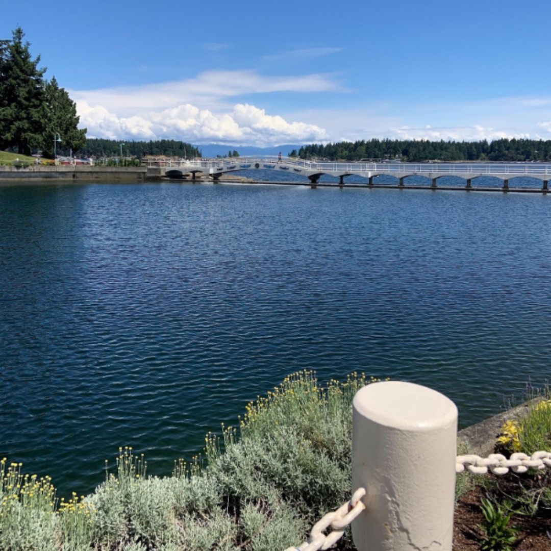 It is going to hit 36°C in #Nanaimo this weekend 😲☀️ Don't worry. There many swimming spots on the island to cool down!  
#vancouverisland #studyinbc