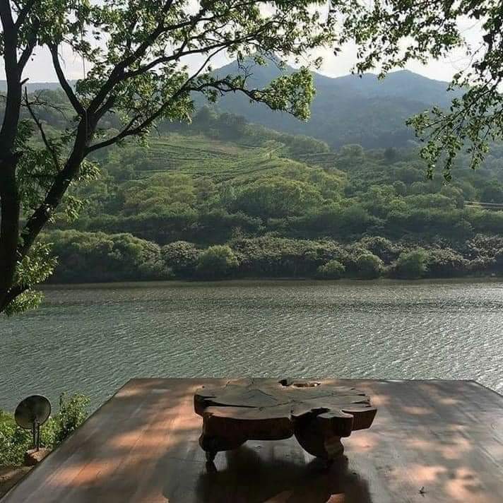 These kinds of places are therapeutic.