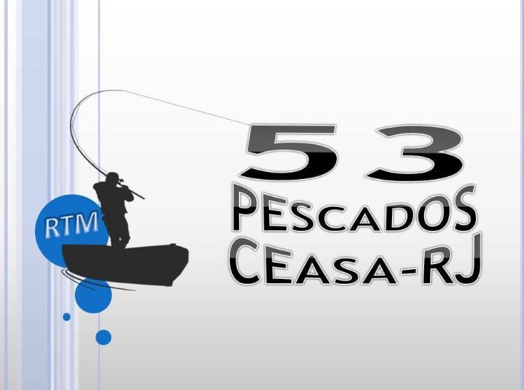 RessacaFC4's tweet photo. RTM 53 PESCADOS CEASA - RJ 🎣
🧊🐟🦀🦞🦐
#PARCEIROS
#FAMILIARESSACA
🏆⚽️🍺❤🖤🤍💪👏🙌 https://t.co/CI1qXGRSFD