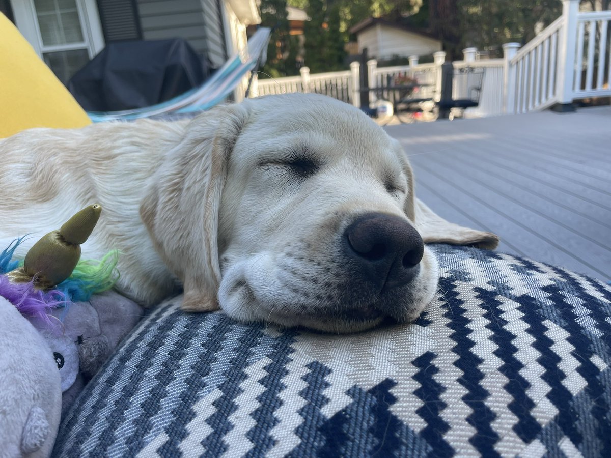 JerryPost7's tweet image. Playing in the kiddie pool is exhausting