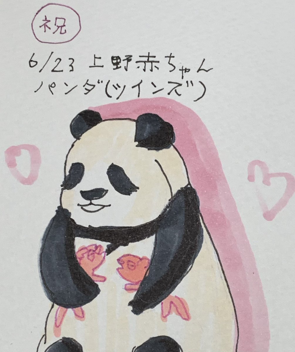 イツカ على تويتر 遅くなりましたが 上野動物園のシンシン 双子ちゃん 出産おめでとうございます 当日 ニュースを見て びっくりしました 親子の健康祈ります この絵は シンシンが双子ちゃんを抱っこしてるところです 上野動物園 シンシン イツカ على تويتر 遅くなりましたが 上野動物園のシンシン 双子ちゃん 出産おめでとうございます 当日 ニュースを見て びっくりしました 親子の健康祈ります この絵は シンシンが双子ちゃんを抱っこしてるところです 上野動物園 シンシン
