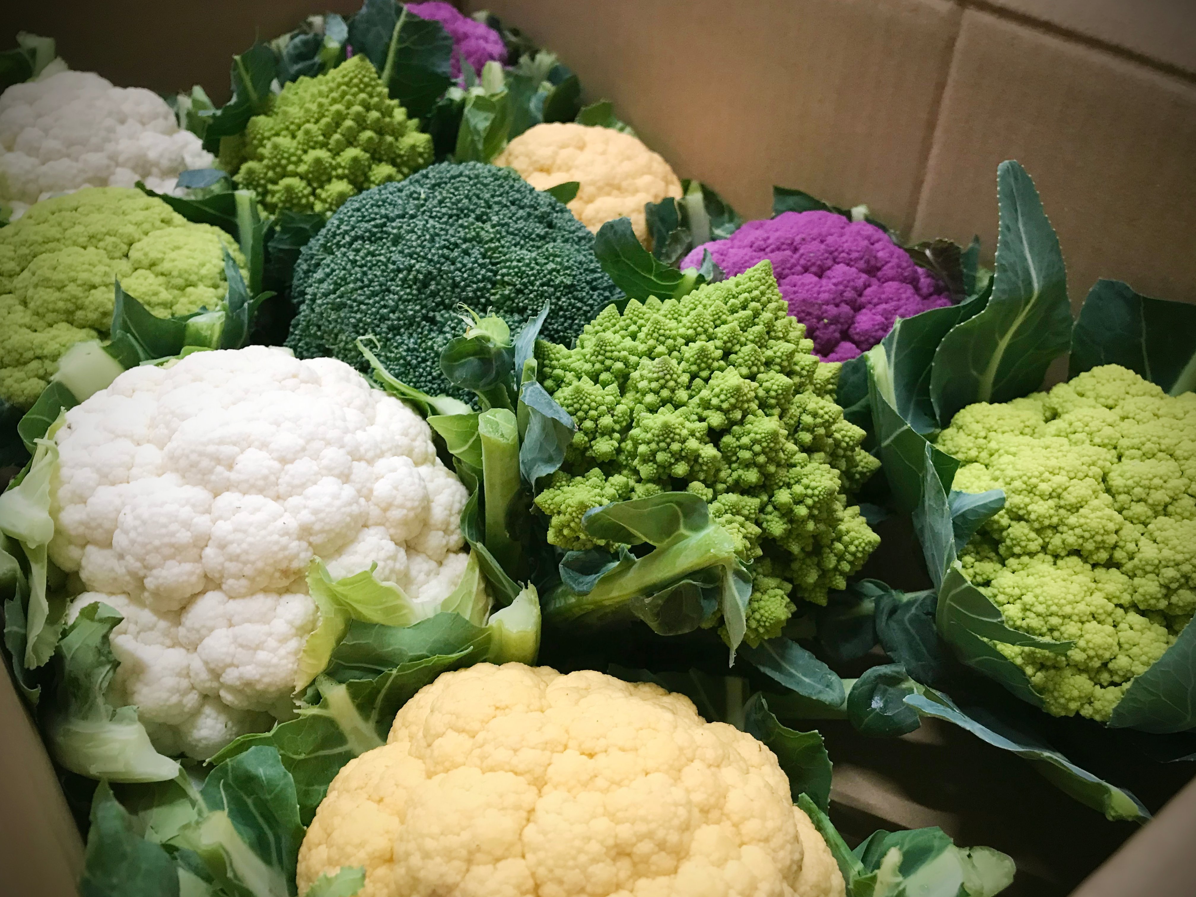 Uzivatel 有限会社安井ファーム Na Twitteru ブロッコリーとカリフラワーを一緒に箱詰めすると ご覧のように 箱の中がとても華やかになります T Co Uuifwv5c6b Twitter