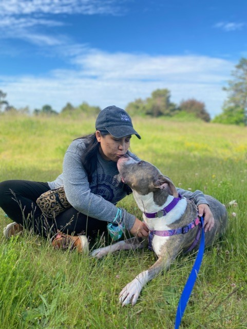 Nick Johnson tweet media