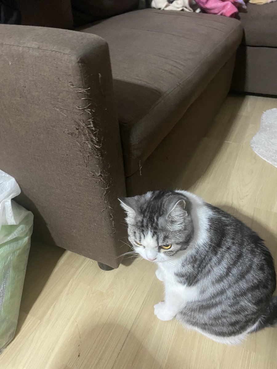 ใครเปงคนทำ!