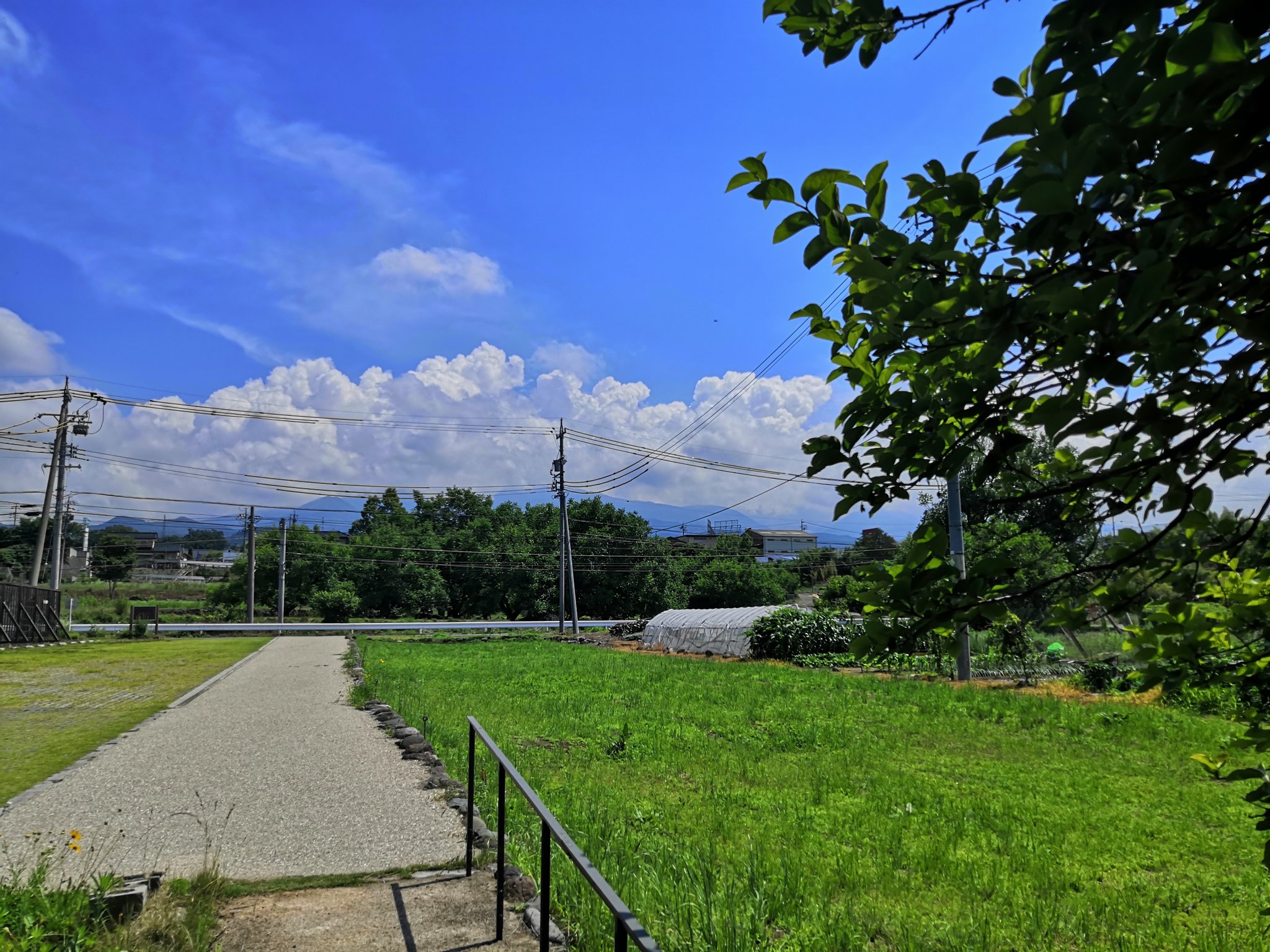 うんのわ 海野宿 うんのわからの湯の丸高原 現地では今 レンゲツツジが満開です うんのわ 信州とうみ観光協会 長野県 信州 東御市 湯の丸高原 池ノ平湿原 ツツジ T Co Dn10chuwqf Twitter