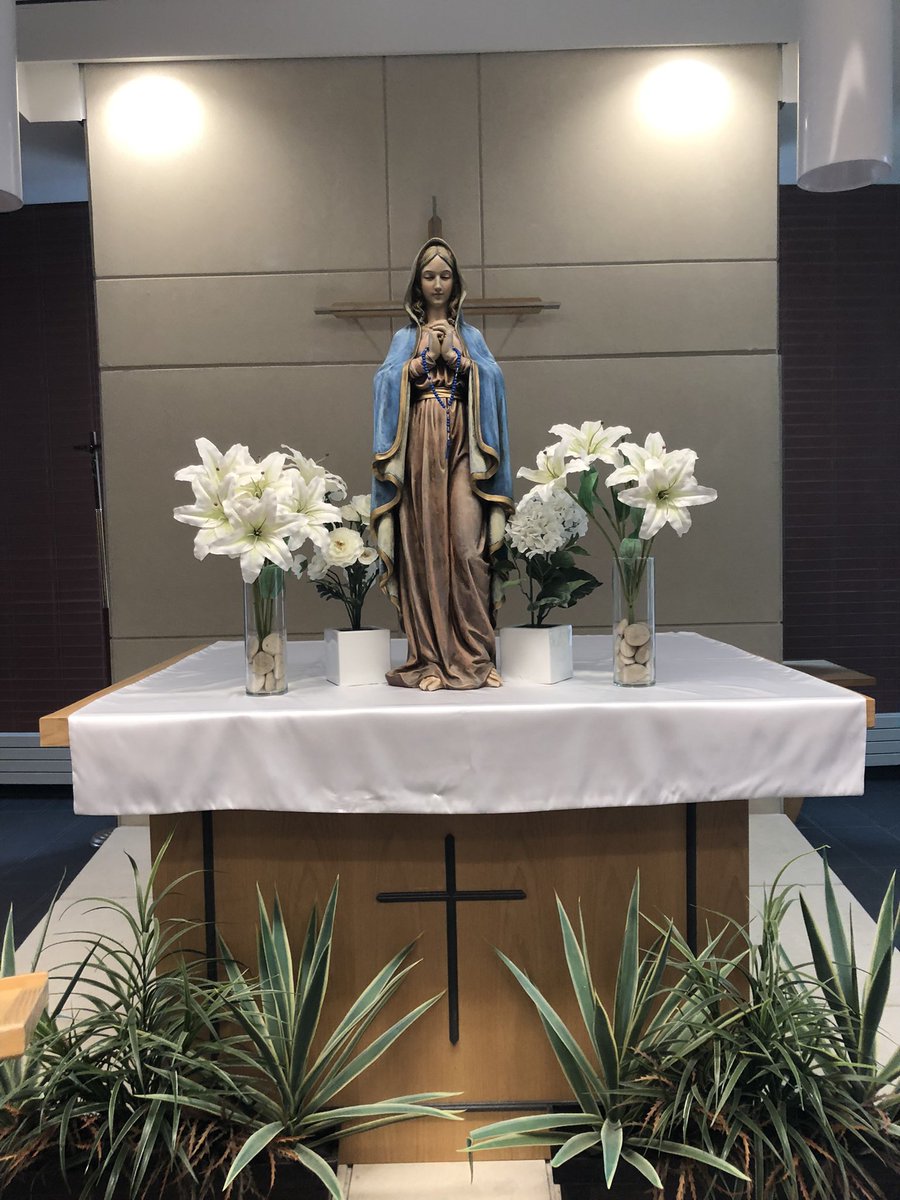 Ms. Masterson tweet media