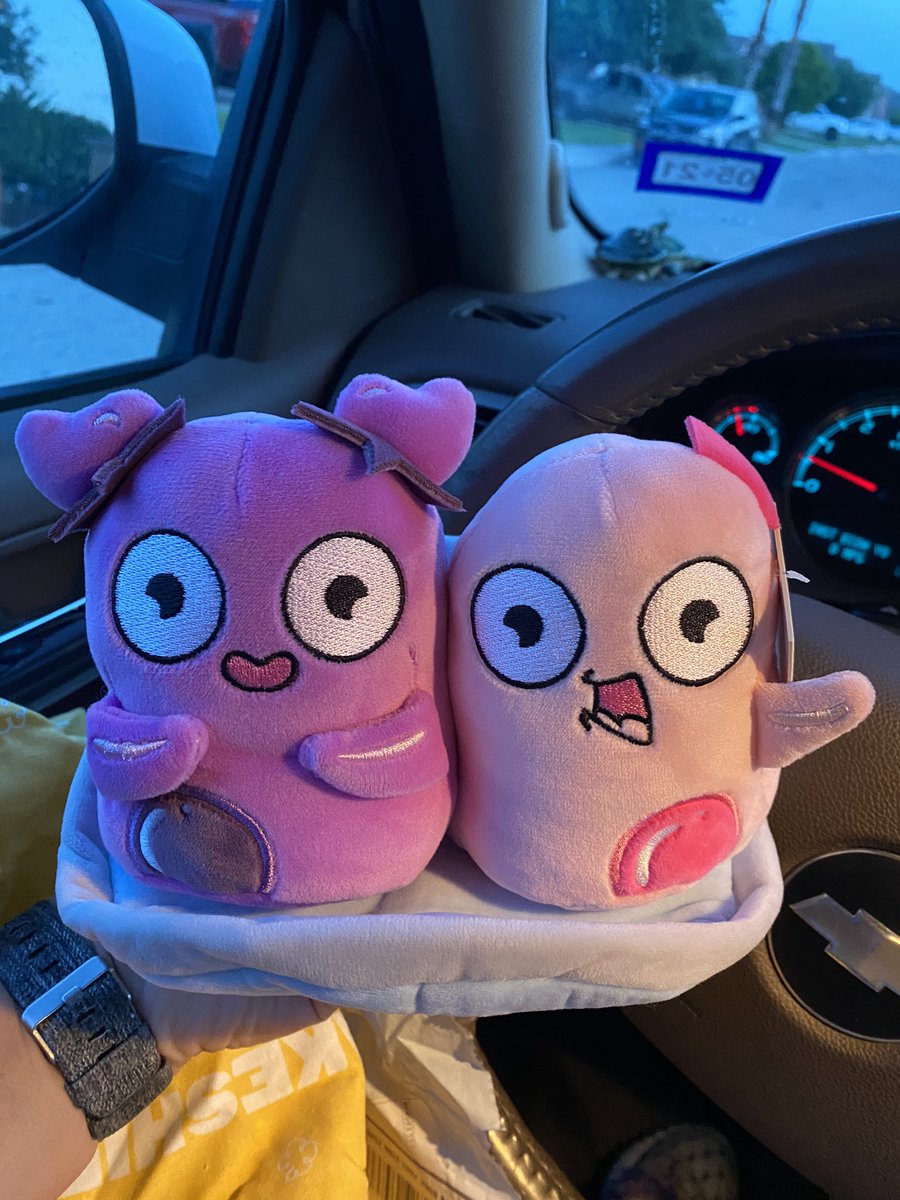 bio_gamez's tweet photo. OMG π± so excited my Amoeba Sisters plushies came in. Woohoo thank you @AmoebaSisters #NISDMSScience https://t.co/AwcU3aG3wi