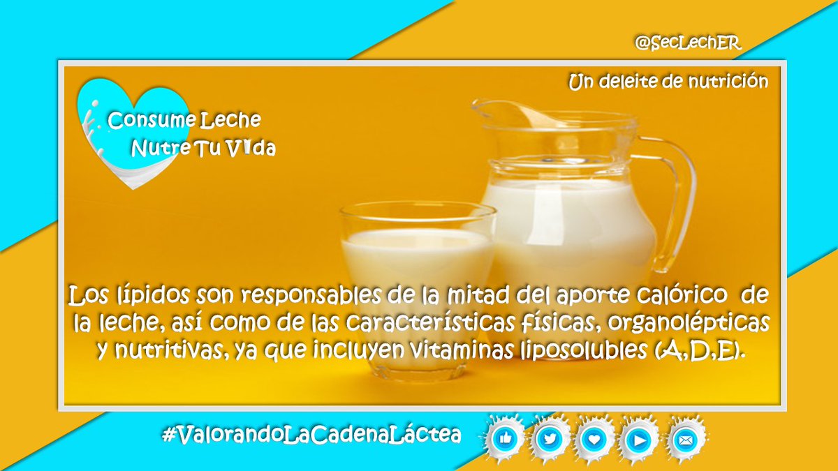 Las #grasas presentes en la #leche tienen múltiples componentes principalmente triglicéridos y otros lípidos como colesterol o fosfolípidos, que determinan tanto la complejidad de su composición, como su relevancia ➕info. 👇facebook.com/ConLecheTuVida…