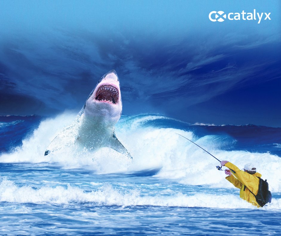 CatalyxExchange's tweet image. The lessons gleaned from the #DeFi100 coin saga should provide an accurate guide for navigating the shark-infested waters of #crypto investment. Here are 5 red flags to help you avoid shady projects.

catalyx.io/blog/view/defi…