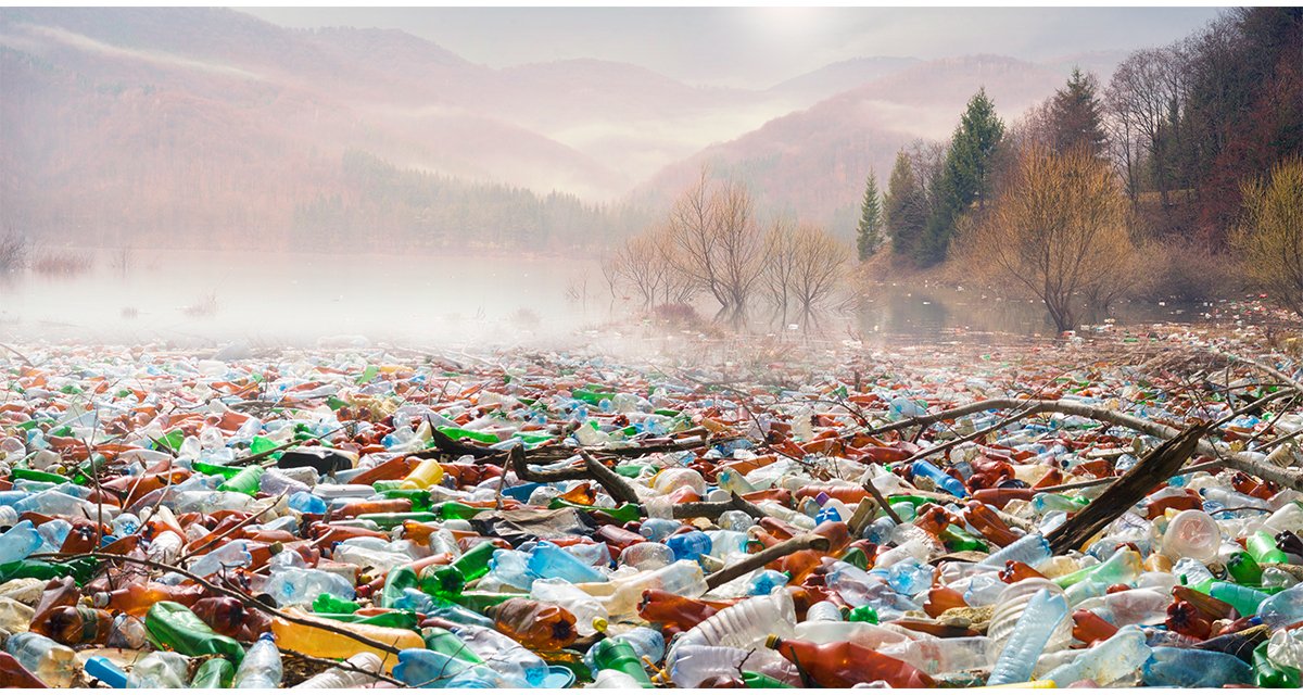 ToxicsFree's tweet image. Toxic chemical additives and the world’s most hazardous substances are literally bleeding into the food supply of those countries least able to prevent it. #ProtectOurHealth
Read our new report: ipen.org/PlasticPoison