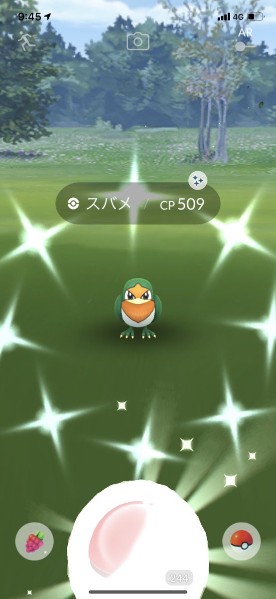 ポケモンgo スバメの入手方法 能力 技まとめ 攻略大百科