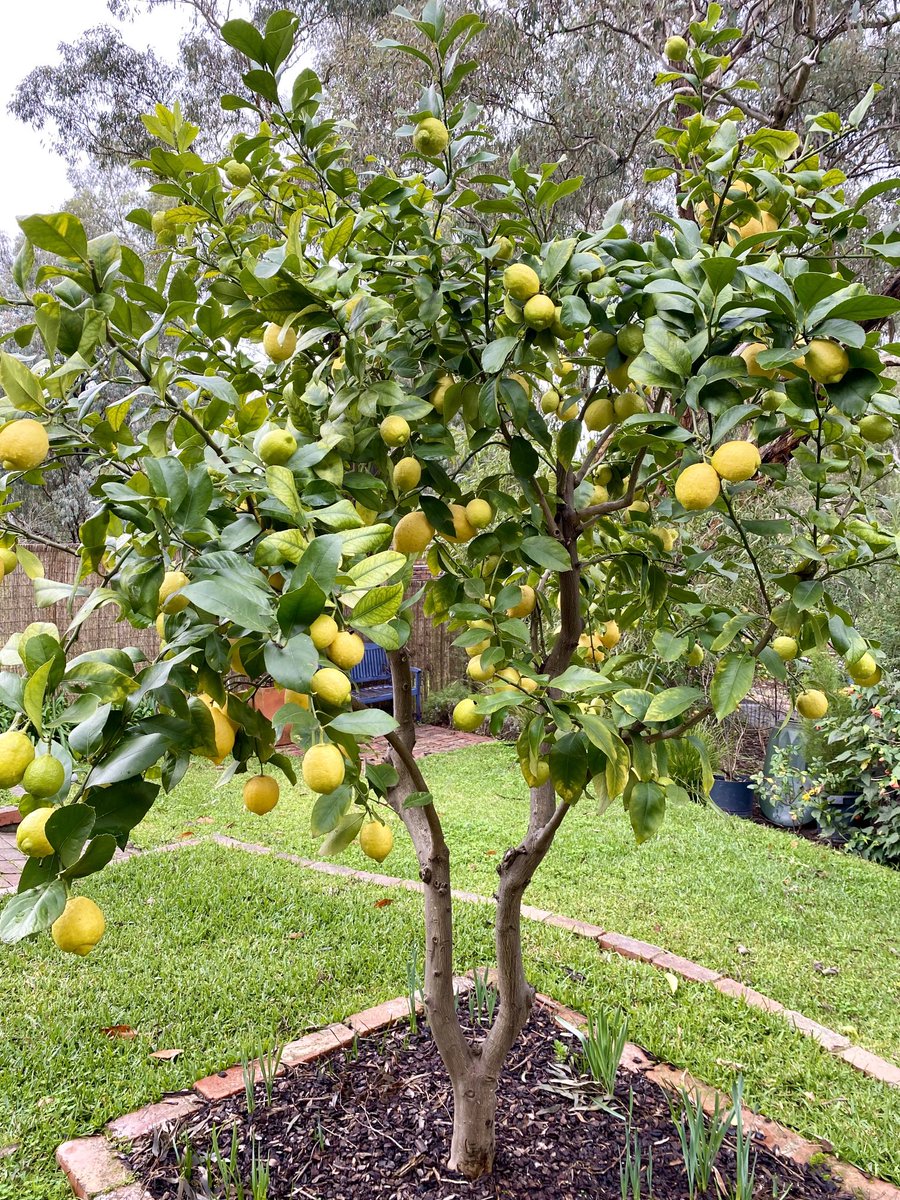 Mike Ryan tweet media