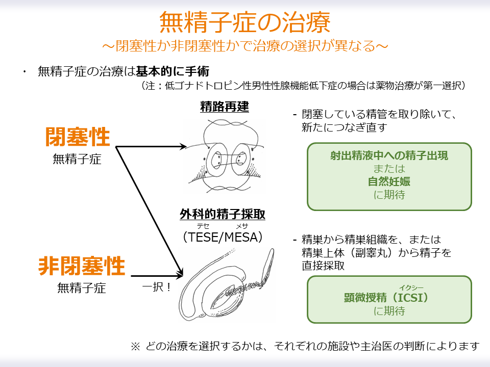 無精子症治療の概要をまとめてみました

・閉塞性の場合は、精路再建か精子採取
・非閉塞性の場合は精子採取、一択

精路再建の適応は、施設、年齢、病態などを踏まえて総合的に判断します