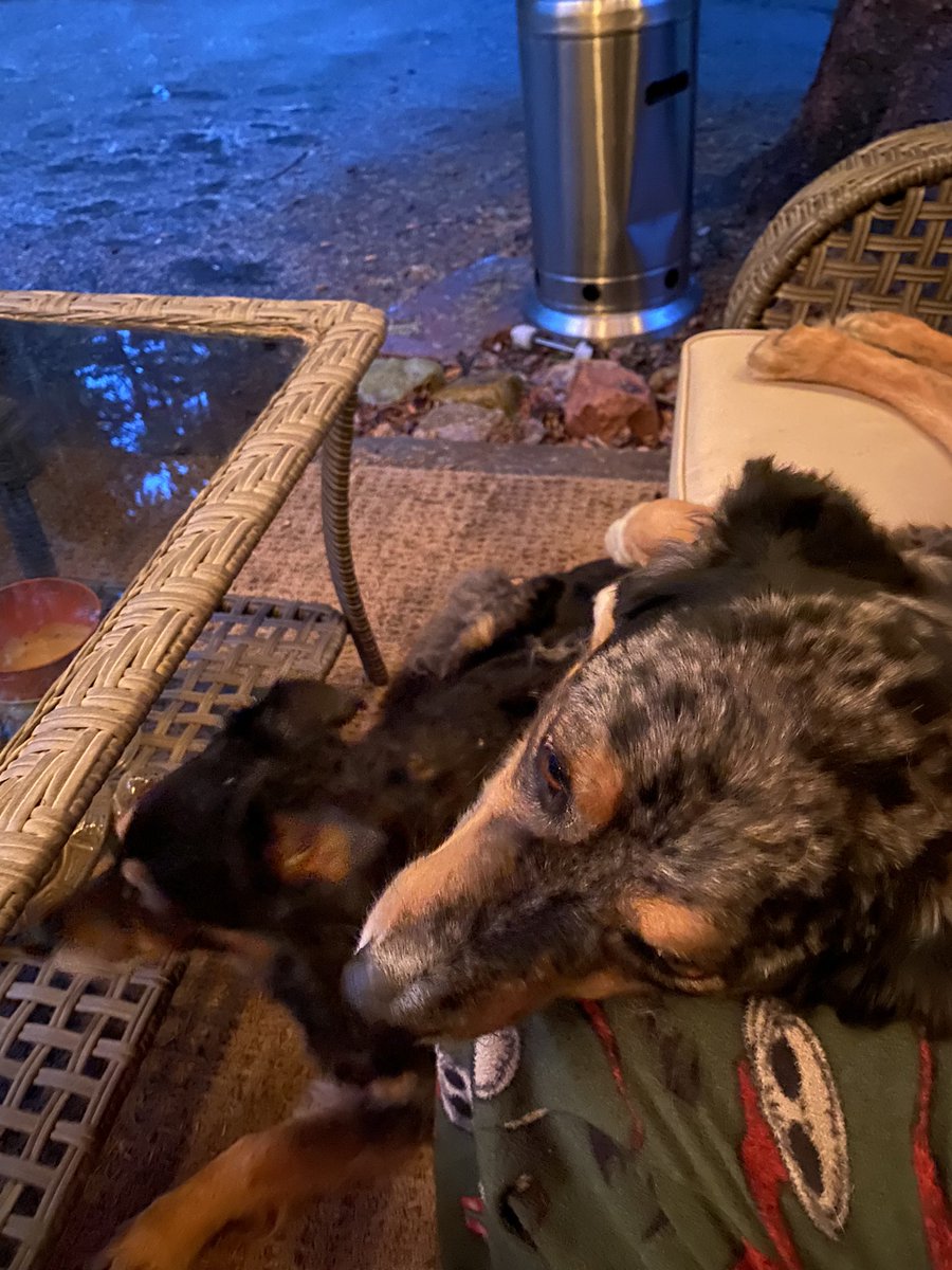 Ingo Fuchs tweet media