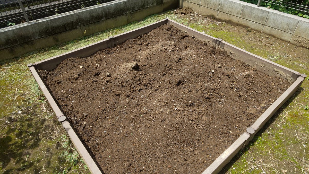 ココサス 埼玉つながり 家庭菜園 家庭菜園初心者 じゃがいも後作 7月に植える野菜 じゃがいもスペースが空いたので 土の消毒などメンテナンスをしてから7月に何か植えたいなと思います 7月に植えられて じゃがいもの後作に良いのはなんだろう ココサス 埼玉つながり 家庭菜園 家庭菜園初心者 じゃがいも後作 7月に植える野菜 じゃがいもスペースが空いたので 土の消毒などメンテナンスをしてから7月に何か植えたいなと思います 7月に植えられて じゃがいもの後作に良いのはなんだろう