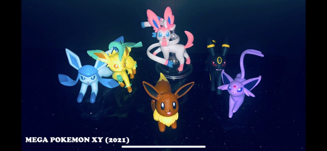 Mega Pokemon Xy V Twitter Project Eevee The Debut Of My Eeveelution Figurines Gallery Waiting For The Rest Sylveon Stands Front And Center Umbreon And Espeon Stay Together Leafeon And Glaceon Support Each Other