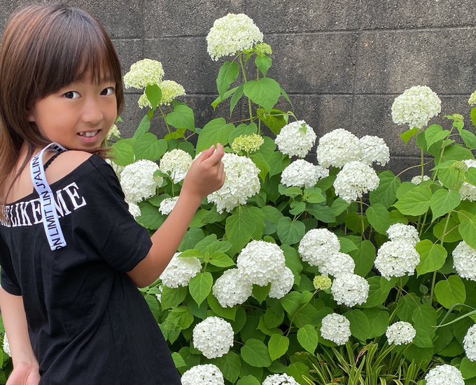 Twitterのコスプレ画像8