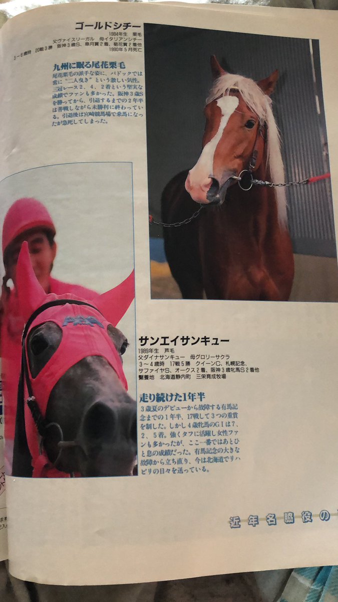 おうまp ゴールドシチー 馬場適性も距離適正も脚質もえげつない万能性だけど 元馬の強さを考えるとむしろオールbかオールcくらいなのでは 一応g1馬だけど この世代は四白流星六馬身のメリーナイスと悲運の二冠馬サクラスターオーが有名すぎて ゴールド