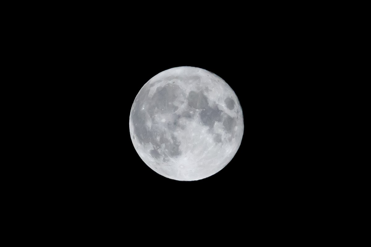 millybly's tweet photo. I literally love the moon so much. 💙 [Strawberry Moon (full moon) in Moorefield, West Virginia (Hardy County) overnight on June 24 to June 25, 2021.] https://t.co/evrl6DIXFX
