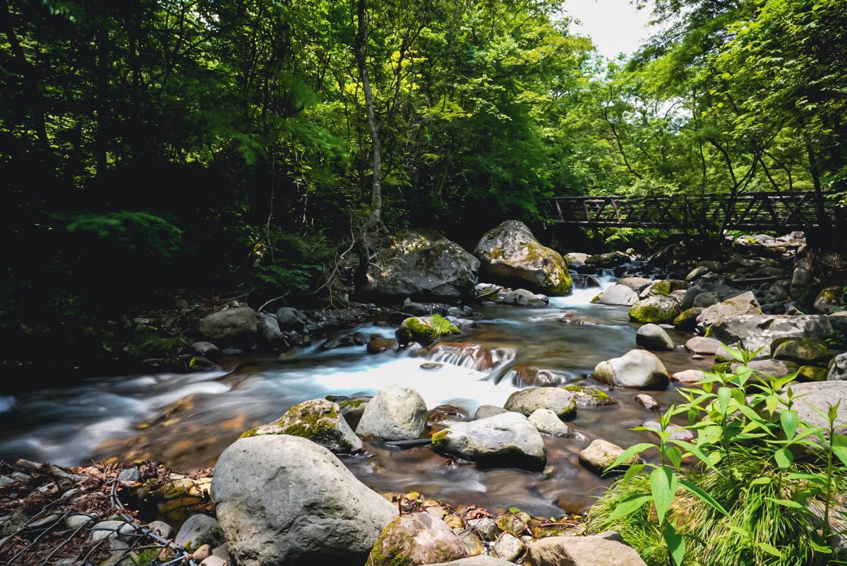 obtea1's tweet photo. 吐竜の滝/山梨
#photography #art 
#sonya7iii #カメラOL 
#キリトリセカイ 
#カメラのある生活 #写真 
#ファインダー越しの私の世界 
#写真撮ってる人と繋がりたい https://t.co/Q7d6ZHo94A