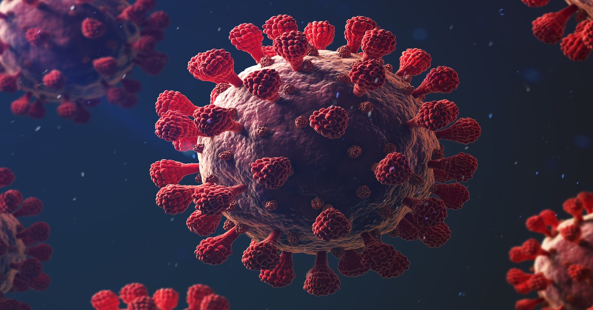 Corona: "Für die Ungeimpften ist die Delta-Variante eine echte Bedrohung"  to.welt.de/2OYhRdz